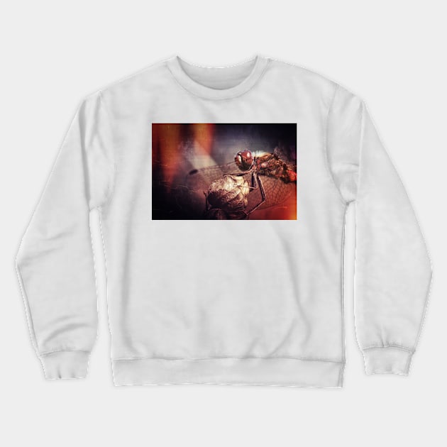 I couldn't come any closer.... Crewneck Sweatshirt by BobDaalder